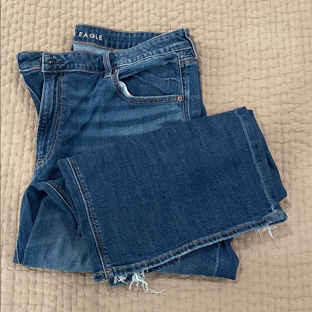 American Eagle Low Rise Baggy Wide Leg Jeans